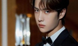 最新爆料赵丽颖王一博,甜蜜互动引网友热议